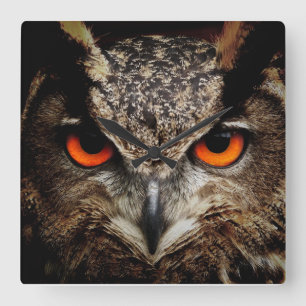 Owl with Orange Eyes in Colour Acrylic Wall Clock