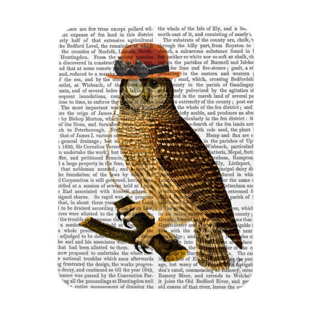 Owl with Steampunk Style Bowler Hat Magnet (Vertical)