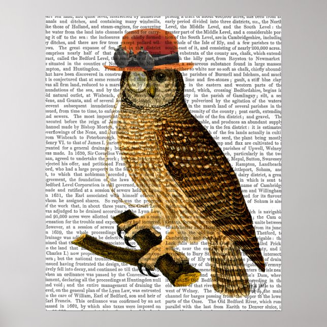 Owl with Steampunk Style Bowler Hat Poster (Front)