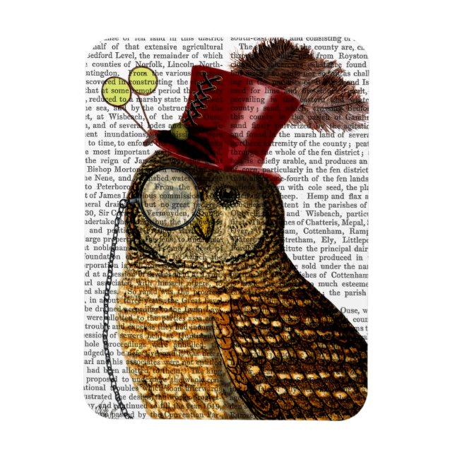 Owl With Top Hat 3 Magnet (Vertical)