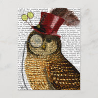 Owl With Top Hat 3