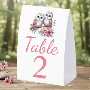 Owl Woodland Boho Rustic Country Wedding 