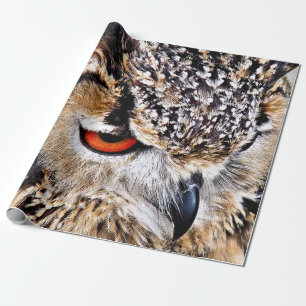 OWL WRAPPING PAPER