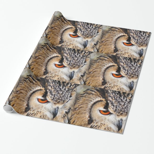 OWL WRAPPING PAPER (Unrolled)