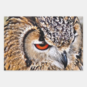 OWL WRAPPING PAPER SHEET