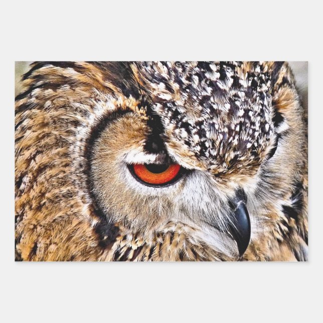 OWL WRAPPING PAPER SHEET (Front)
