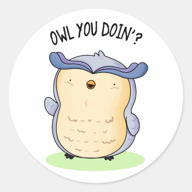 Owl You Doin Funny Bird Pun  Classic Round Sticker (Front)