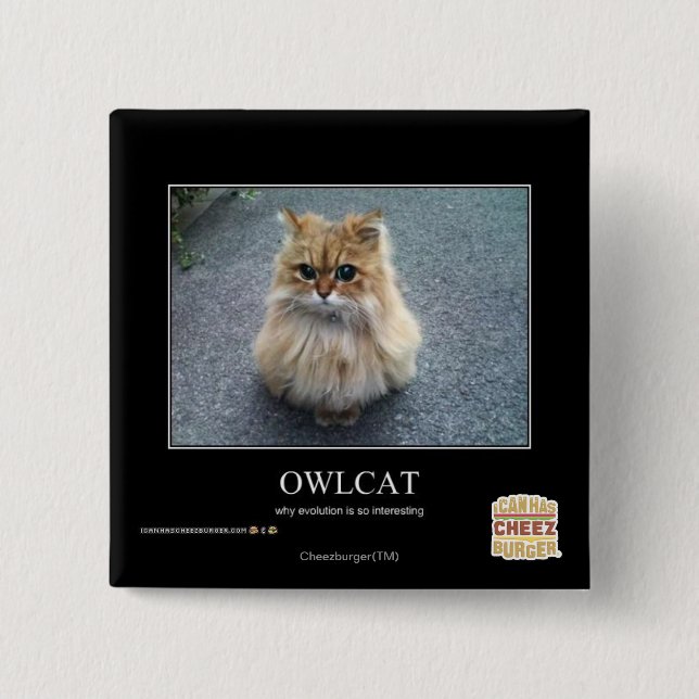 Owlcat 15 Cm Square Badge (Front)