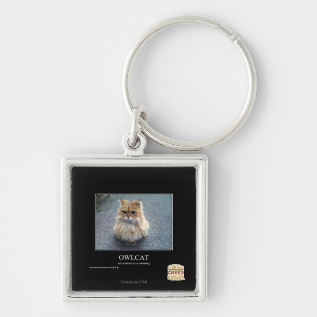 Owlcat Key Ring (Front)