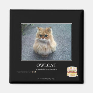 Owlcat Magnet