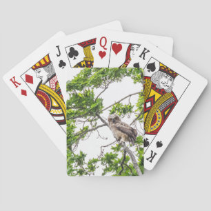 Owlet On A Maple Tree Branch Playing Cards