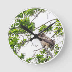 Owlet On A Maple Tree Branch Round Clock