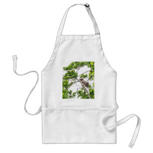 Owlet On A Maple Tree Branch Standard Apron