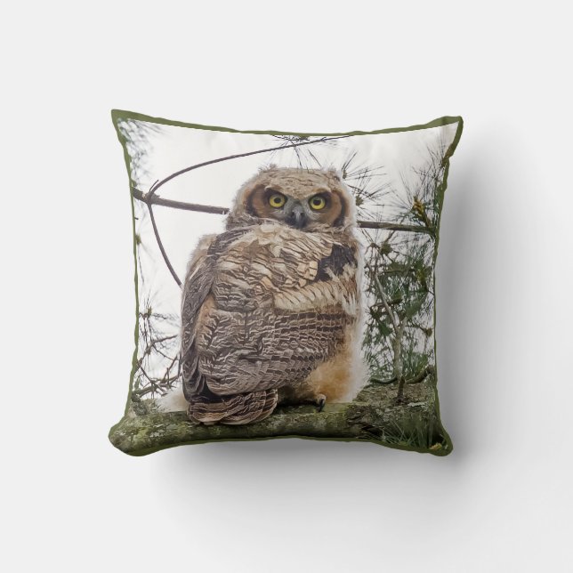 Owlet On A Pine Branch  Cushion (Front)