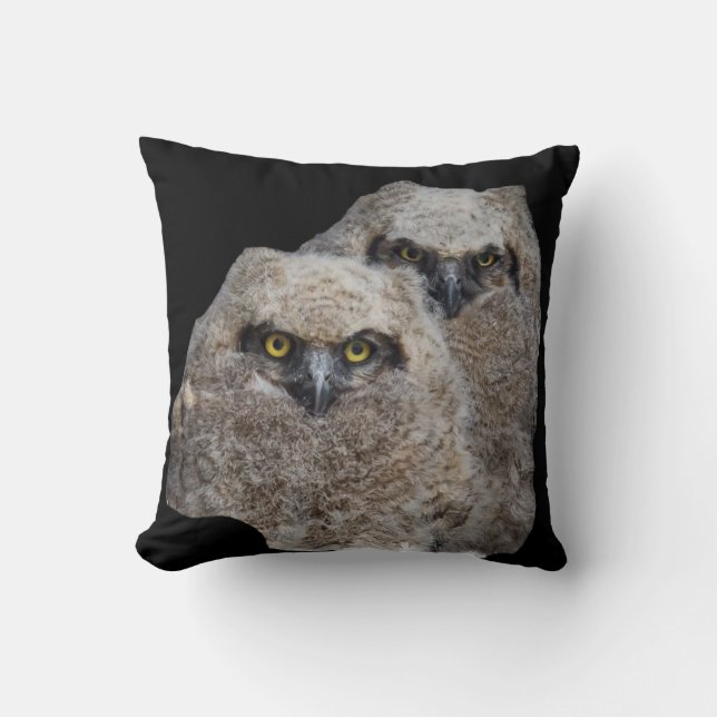 Owlets Cushion (Front)