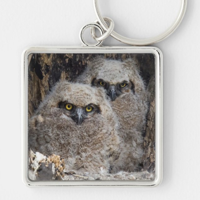 Owlets Key Ring (Front)