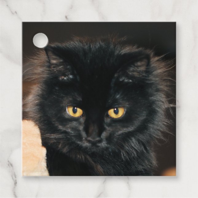 Owllette Favour Tags (Front)