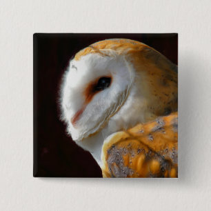OWLS 15 CM SQUARE BADGE