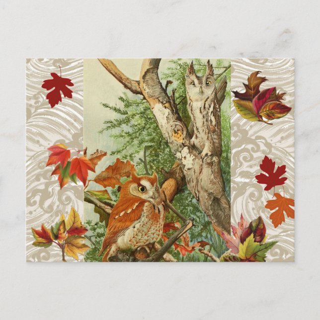 OWLS AMONG FALL LEAVES IN WOODLAND POSTCARD (Front)