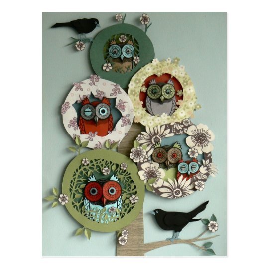 owls and birds postcard