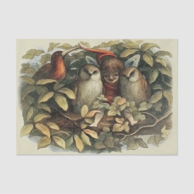 Owls and Elf Fairies Nature Illustration Tissue Paper (Front)