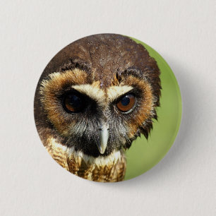 Owls Animal Birds Nature Park Tree Harmony Destiny 6 Cm Round Badge