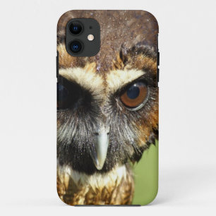 Owls Animal Birds Nature Park Tree Harmony Destiny iPhone 11 Case