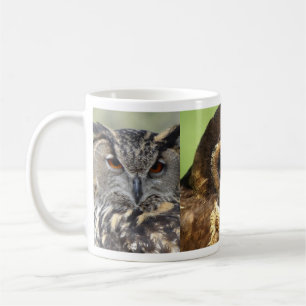 Owls Animal Birds Nature Park Tree Harmony Destiny Coffee Mug