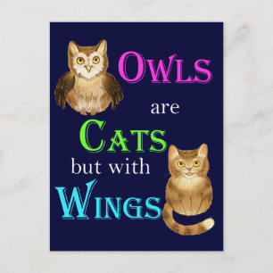 Owls are cats with wings postcard