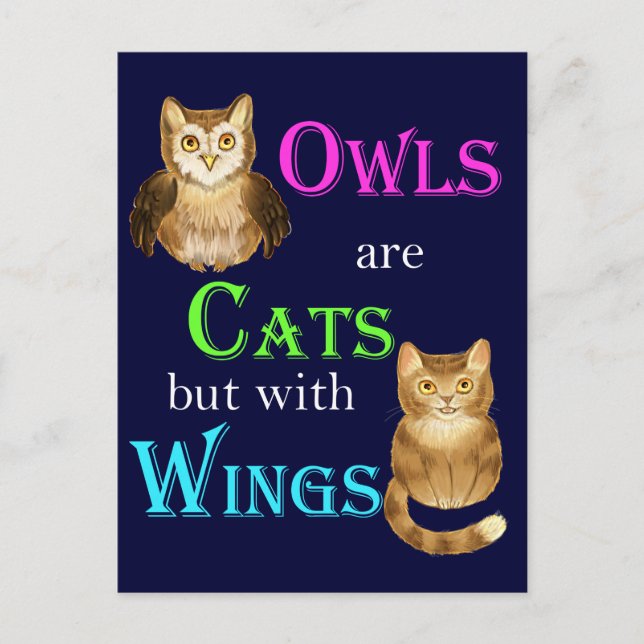 Owls are cats with wings postcard (Front)