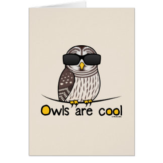 Owls are cool