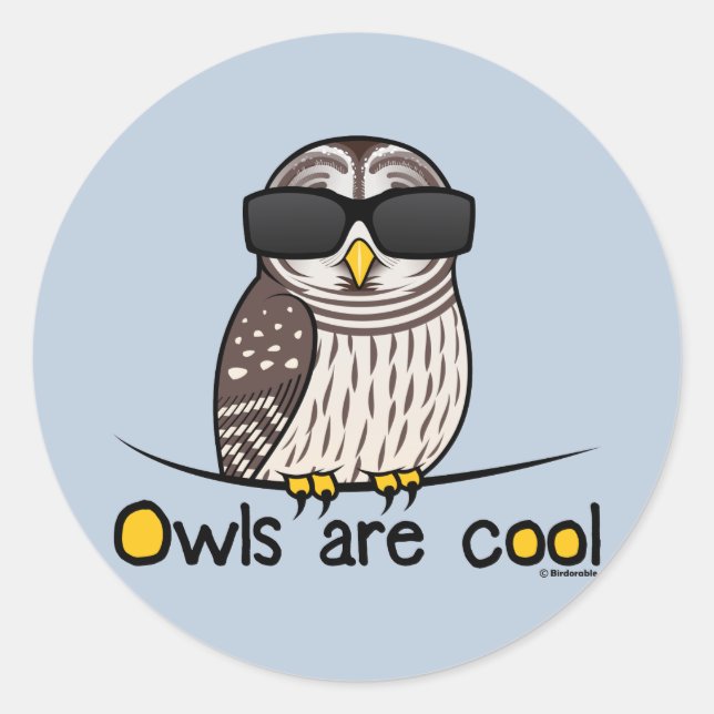 Owls are cool! classic round sticker (Front)