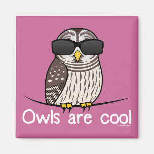 Owls are cool magnet