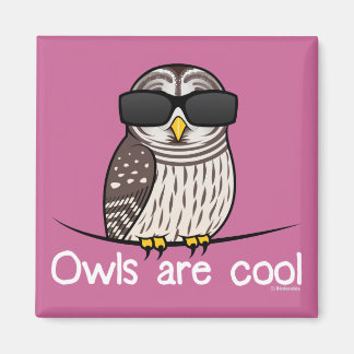 Owls are cool magnet