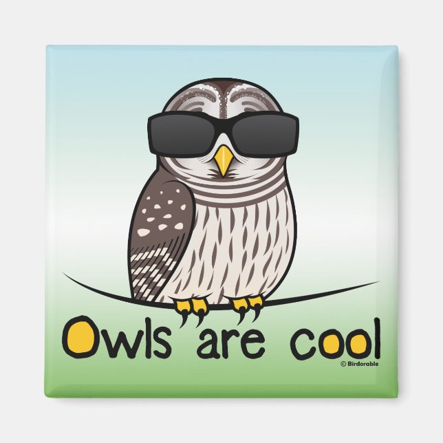 Owls are cool! magnet (Front)