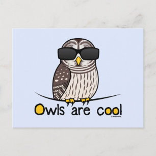 Owls are cool postcard