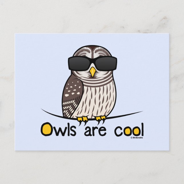 Owls are cool postcard (Front)
