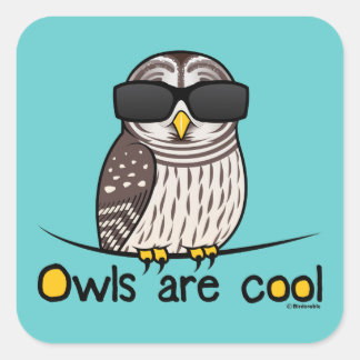 Owls are cool square sticker
