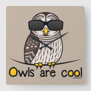 Owls are cool square wall clock
