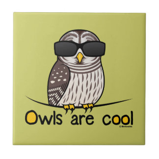 Owls are cool tile