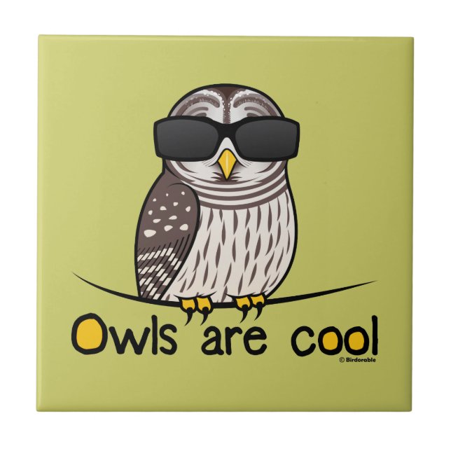 Owls are cool tile (Front)
