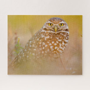 Owls -Birds of Prey. Jigsaw Puzzle