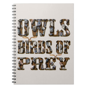 Owls Birds Of Prey, Notebook