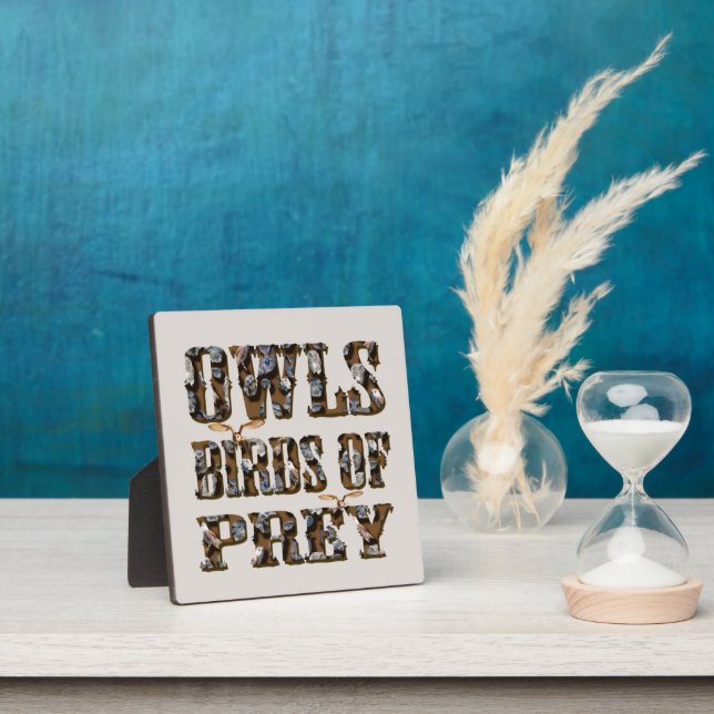 Owls Birds Of Prey,  Plaque (Insitu)