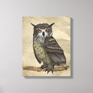 Owls Canvas Print