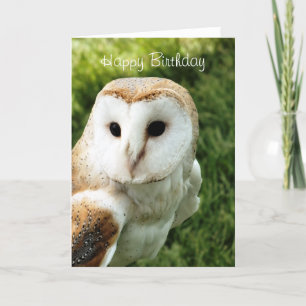 OWLS CARD