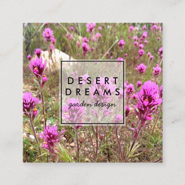 Owl's Clover Purple Desert Wildflower Photo Travel Square Business Card (Front)