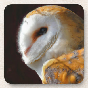 OWLS COASTER