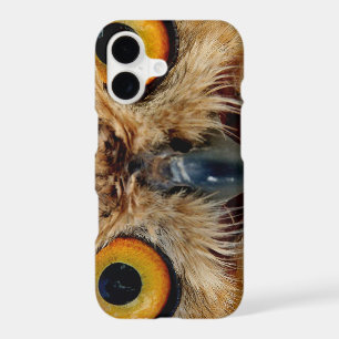 Owls Eyes