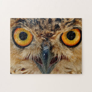 Owls Eyes Jigsaw Puzzle